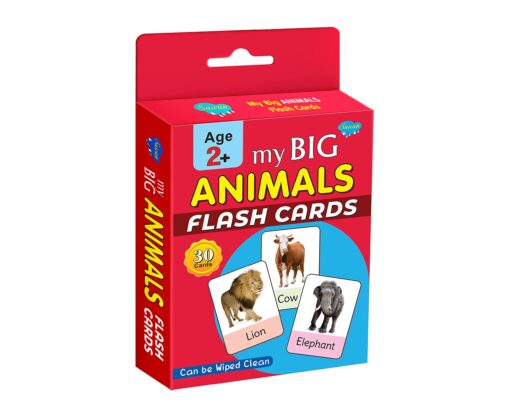 My Big Animals Flash Card