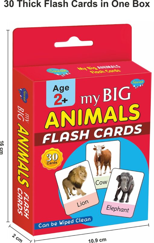 My Big Animals Flash Card
