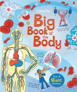 Usborne Big Book of The Body