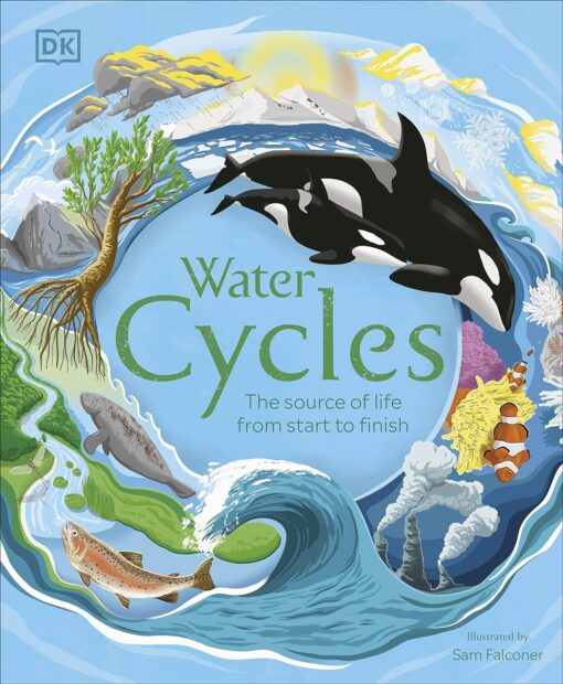 Water cycles-The source of life from start to finish