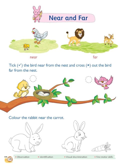 Freefly Maths Book B | Lower KG Books | Numeracy Skills Book | NCF Aligned | Numbers | 1-100 | Counting | Early Learning | Pre-School Series | Activity Books For Toddlers | Children Books - Image 5