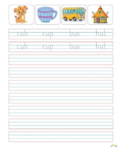 English workbook for CVC words, use of a and an